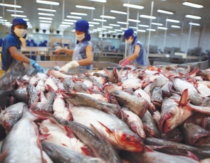 2024 - Many aquaculture production problems slowly recover