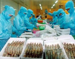 Shrimp exports to China increased by 26%