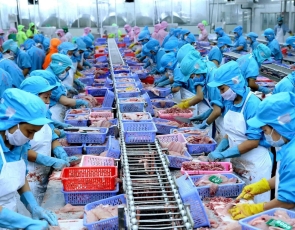 Seafood exports in January increased strongly by more than 60%: Expect a big win in 2024