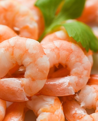 shrimp