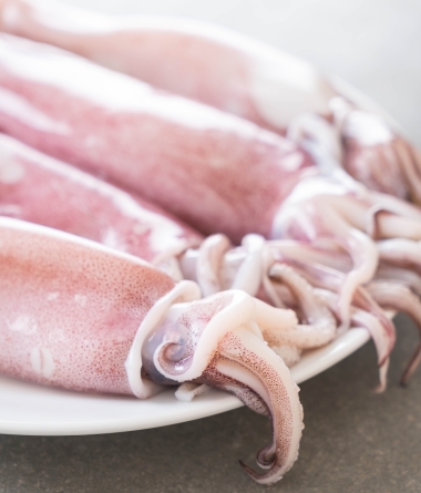 Cuttlefish