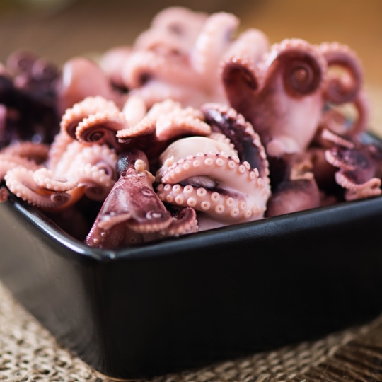 Squid - Octopus