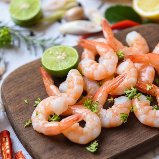 shrimp