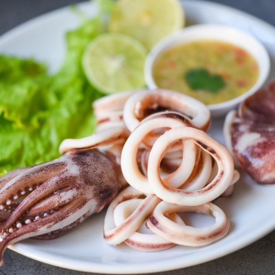 Squid - Octopus