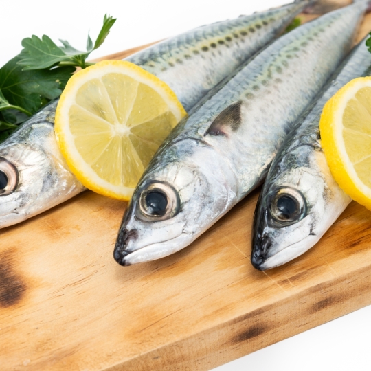 Salmon