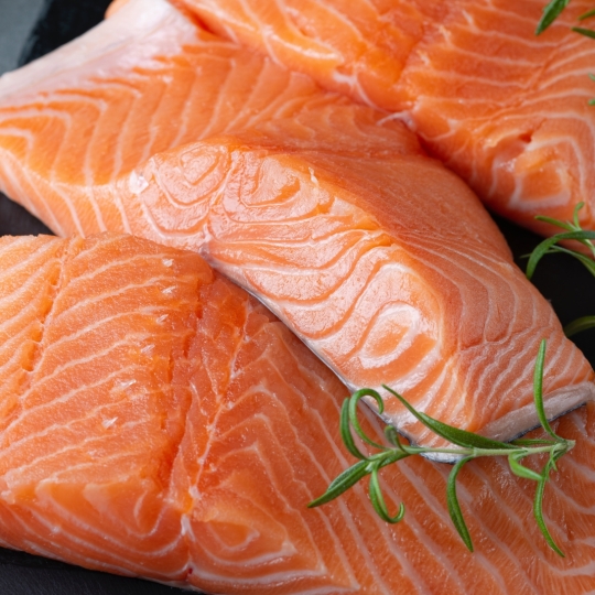 Salmon
