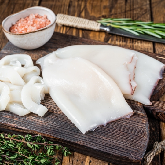 Squid - Octopus