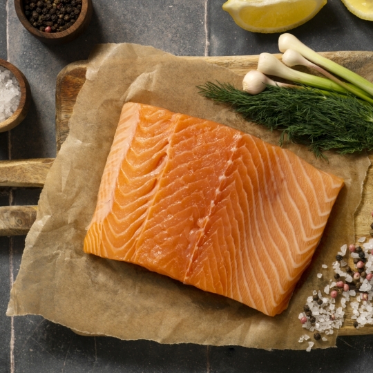 Salmon