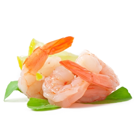 shrimp